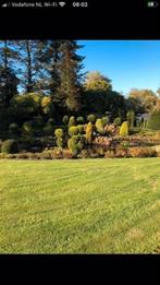 tuinman aangeboden, Tuin en Terras, Overige Tuin en Terras, Ophalen of Verzenden