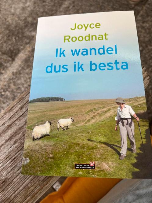 Ik wandel dus ik besta - Joyce Roodnat, Boeken, Reisgidsen, Zo goed als nieuw, Fiets- of Wandelgids, Benelux, Overige merken, Ophalen of Verzenden