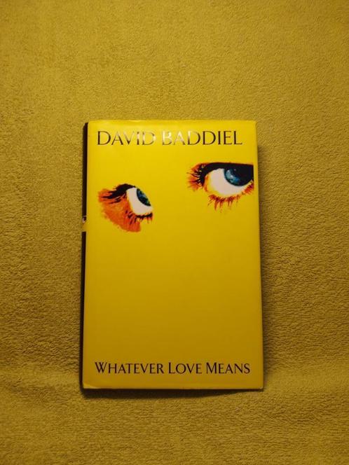 Whatever love means - David Baddiel., Boeken, Romans, Ophalen of Verzenden