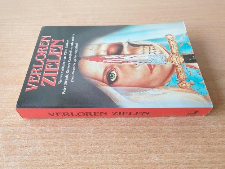Allerlei - Verloren Zielen, Boeken, Fantasy, Gelezen, Ophalen of Verzenden