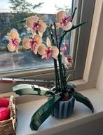 Lego orchidee 10311 - botanische collectie, Ophalen of Verzenden, Zo goed als nieuw