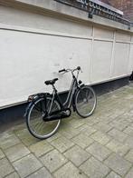 Gazelle Esprit Damesfietsen (53/57cm), Ophalen of Verzenden, Gazelle