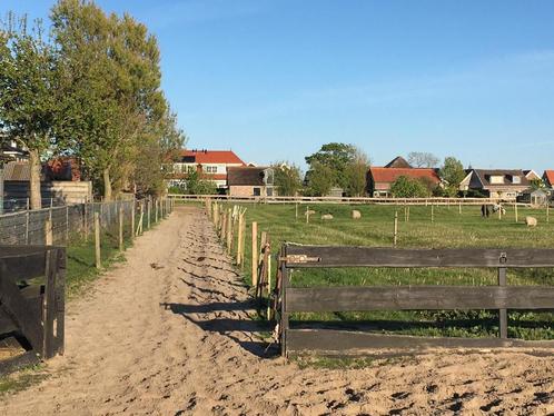Paddock Paradise, Dieren en Toebehoren, Stalling en Weidegang, Weidegang, 1 paard of pony