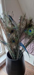 Prachtige pauwenveren, Huis en Inrichting, Woonaccessoires | Droogbloemen, Ophalen, Zo goed als nieuw