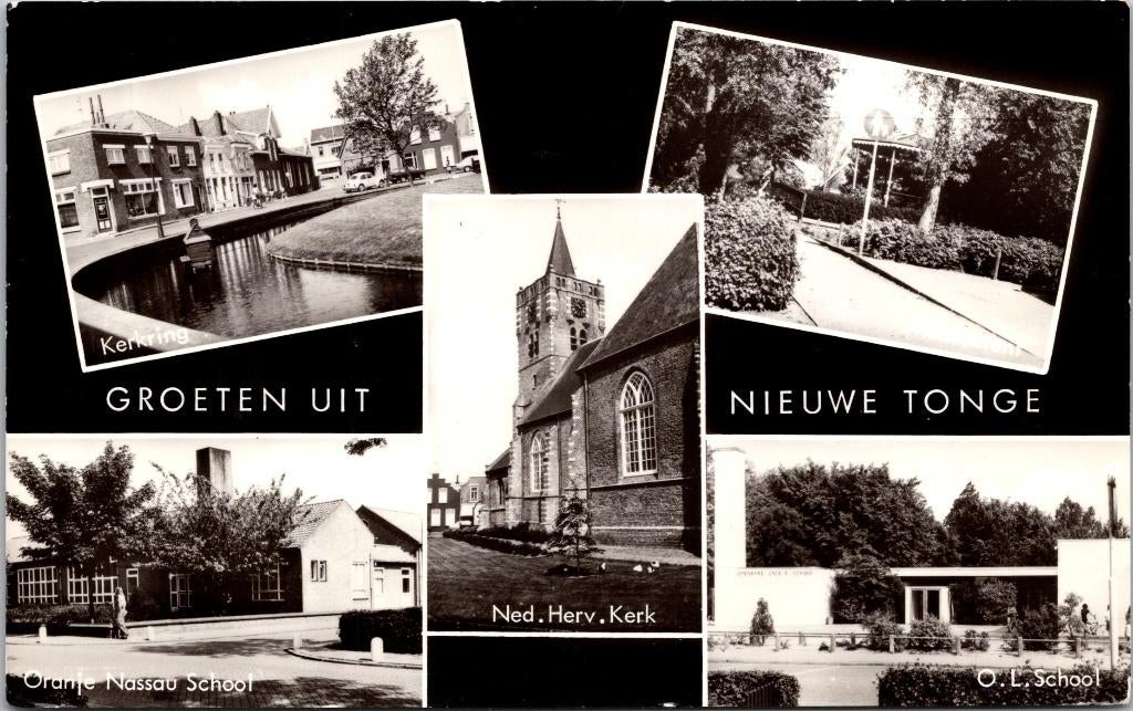 Groeten uit Nieuwe Tonge (1981), Verzenden, 1960 tot 1980, Gelopen, Zuid-Holland