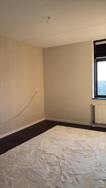 Fluffy beige tapijt Volero 200x290 cm beschikbaar voor biedingen
