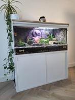 Wit PVC Terrarium, Ophalen, Zo goed als nieuw