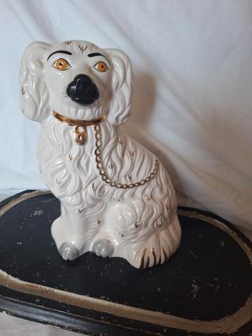 Madame hondje  beschikbaar voor biedingen