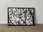 Jorge Omeñaca - Pollock Tree - (Kunst foto), Ophalen of Verzenden