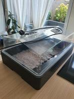 Propagator 64/50 electrisch met temperatuur regelaar, Ophalen, Gebruikt, Kweekbak