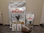 Kattenvoer royal canin urinary s/o, Dieren en Toebehoren, Dierenvoeding, Kat, Ophalen