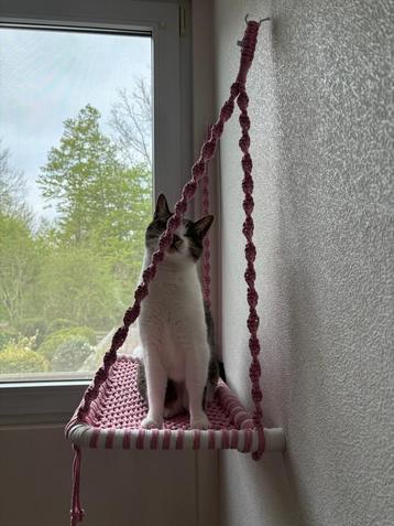 Handmade Cozy Cat Bed beschikbaar voor biedingen