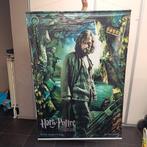 Bioscoop Vinyl Poster, Ophalen of Verzenden, Zo goed als nieuw, Overige typen