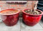 Twee mooie terracotta bloempotten, Tuin en Terras, Bloempotten, Ophalen, Gebruikt, 40 cm of meer, Rond