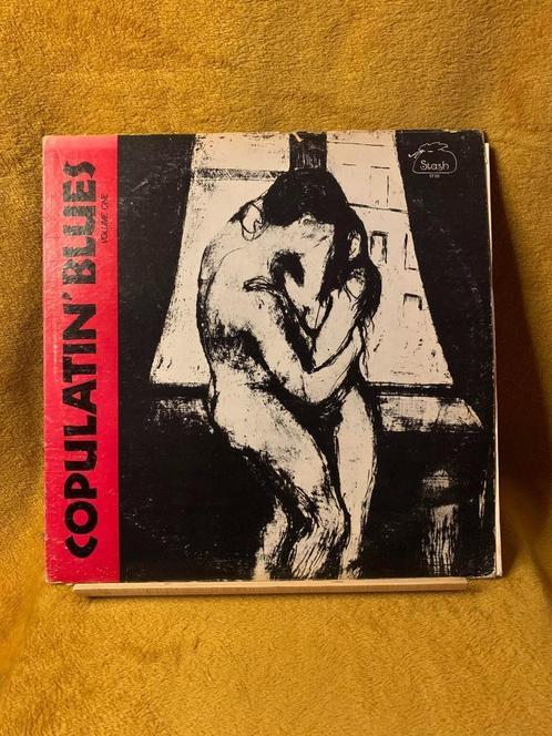 lp blues, Cd's en Dvd's, Vinyl | Jazz en Blues, Gebruikt, Blues, 1960 tot 1980, Ophalen of Verzenden