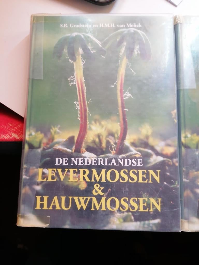 DE NEDERLANDSE LEVERMOSSEN HAUWMOSSEN Verspreidingsatlas, Boeken, Ophalen of Verzenden, Zo goed als nieuw, Hepaticae en Anthocerotaer S.R. Gradstein H.M.H. van Melick