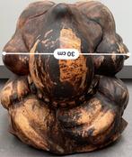 houten buddha/boeddhabeeld A'dam ~30*30*30 cm, Gebruikt, Ophalen