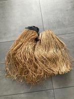 Carnavalskleding, Carnaval, Kleding, Gedragen, Ophalen