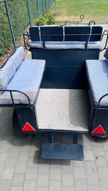 Comfortabele Menkar, ideaal voor buitenritten beschikbaar voor biedingen