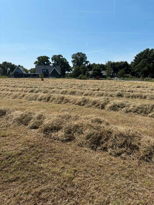 Hooi hooibalen vanmiddag geperst!, Dieren en Toebehoren, Dierenvoeding, Vee, Ophalen