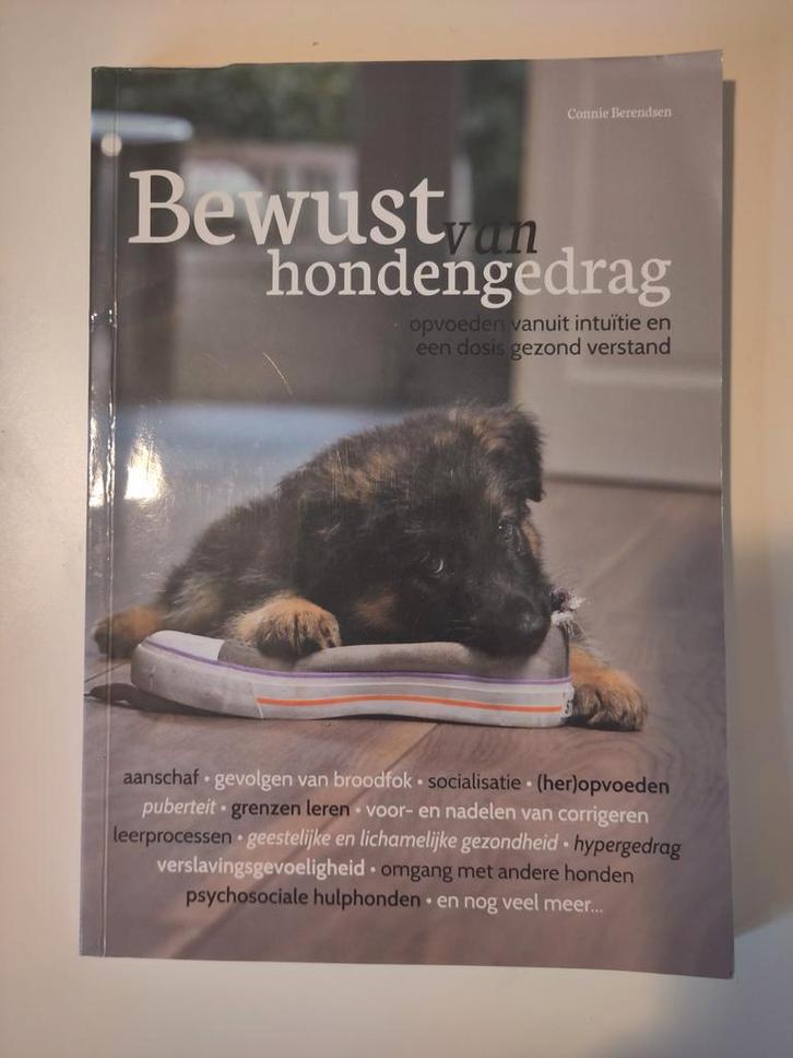 Sarah Hodgson - Puppy's voor Dummies, Boeken, Dieren en Huisdieren, Zo goed als nieuw, Honden, Ophalen of Verzenden