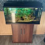 juwel aquarium, Dieren en Toebehoren, Vissen | Aquaria en Toebehoren, Ophalen, Gebruikt, Gevuld zoetwateraquarium
