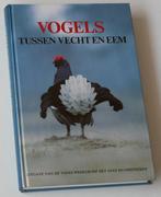 Vogels tussen Vecht en Eem, Ophalen of Verzenden, Zo goed als nieuw, Vogels