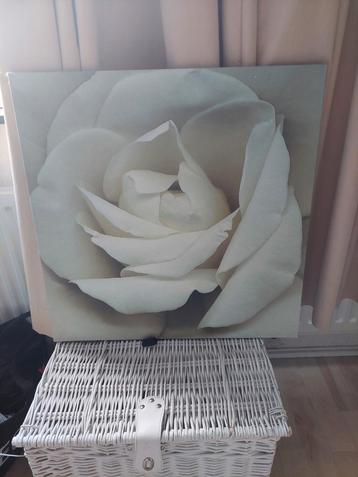 Schilderij beschikbaar voor biedingen