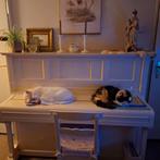 Kattenoppas aangeboden, Diensten en Vakmensen