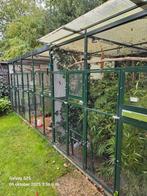 Aluminium volière van 6x2x2 meter te koop, Dieren en Toebehoren, Ophalen, Zo goed als nieuw, Aluminium, Volière