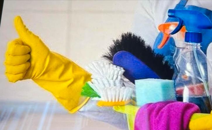 Huishoudelijke hulp gezocht in Almelo, Diensten en Vakmensen, Huishoudelijke hulp