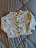 Schattig vestje maat 68, Kinderen en Baby's, Babykleding | Maat 62, Please Love Me, Ophalen of Verzenden, Zo goed als nieuw, Truitje of Vestje