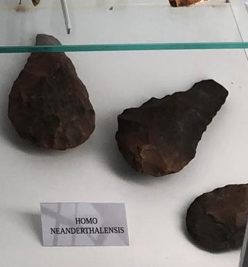 Bod gevraagd op hele of halve vitrine inhoud beschikbaar voor biedingen