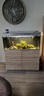 Oase highline 300 eiken met flueval plant Bluetooth lamp., Dieren en Toebehoren, Vissen | Aquaria en Toebehoren, Ophalen, Zo goed als nieuw