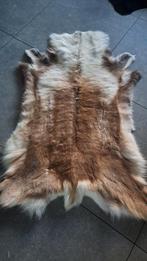 Rendiervel - Dierenhuid - Kerstdecoratie, Gebruikt, 100 tot 150 cm, Scandinavisch, Overige vormen