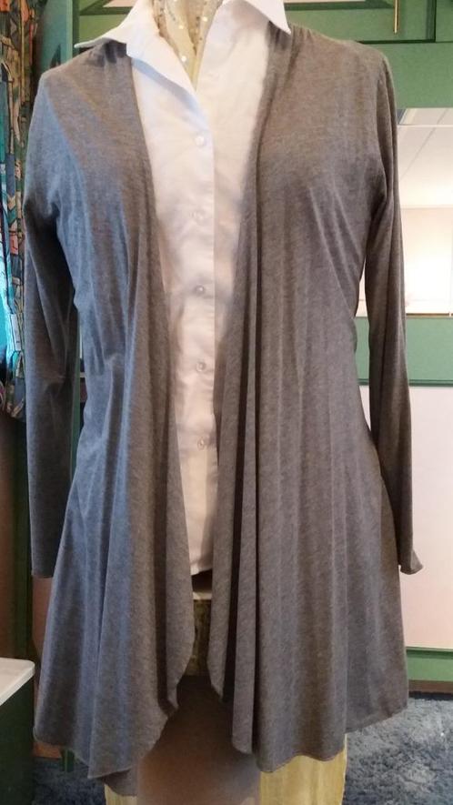 Grijs dun lang vestje met lange mouwen., Kleding | Dames, Truien en Vesten, Zo goed als nieuw, Maat 38/40 (M), Grijs, Ophalen