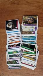 Deen stickers WWF (Compleet), Deen, Ophalen of Verzenden