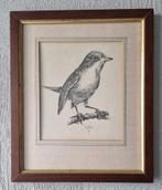 Pentekening  winterkoninkje ingelijst met passe-partout, Antiek en Kunst, Kunst | Schilderijen | Klassiek, Ophalen of Verzenden