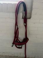 Halsters maar cob en full, Ophalen of Verzenden, Zo goed als nieuw, Overige soorten