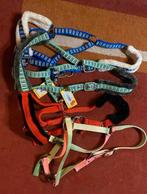 5 verschillende halsters maat cob., Dieren en Toebehoren, Paarden en Pony's | Hoofdstellen en Tuigage, Ophalen, Nieuw, Overige soorten