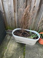 Witte kunststof plantenbak, Ophalen, Kunststof, Gebruikt, Minder dan 30 cm