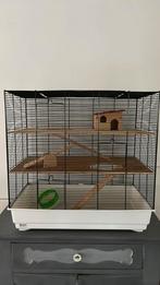 Grote hamsterkooi met veel accesoires, Dieren en Toebehoren, Knaagdieren en Konijnen | Hokken en Kooien, Ophalen, Kooi, Gebruikt