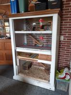 Cavia flat, cavia verblijf, knaagdier kooi., Dieren en Toebehoren, Ophalen, 110 cm of meer, 90 cm of meer, Hok