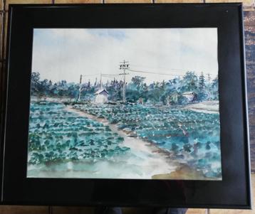 Jacques Dornart, Boer in koolveld. Aquarel. 60/45 cm.  beschikbaar voor biedingen