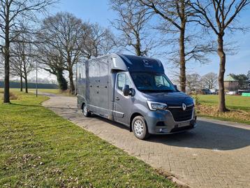 Renault Master Theault automatic with Pro-Safety stallion la beschikbaar voor biedingen