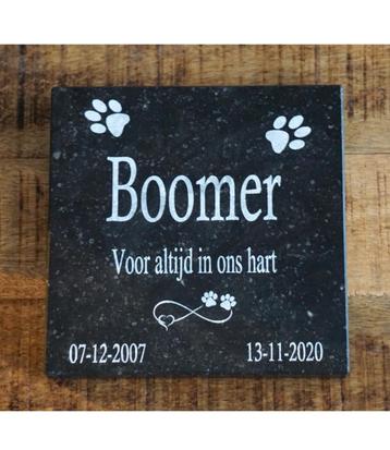 Gedenksteen met Dierenpootjes – Voor Hond of Kat beschikbaar voor biedingen