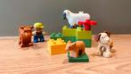 Boerderij, Ophalen of Verzenden, Gebruikt, Complete set, Duplo