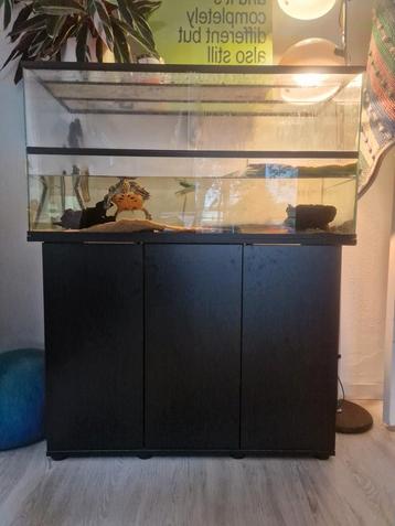 Schildpadden aquarium + meubel beschikbaar voor biedingen