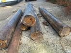 Hard houten palen, Doe-het-zelf en Verbouw, Hout en Planken, Ophalen of Verzenden, Balk, Overige houtsoorten, 50 mm of meer