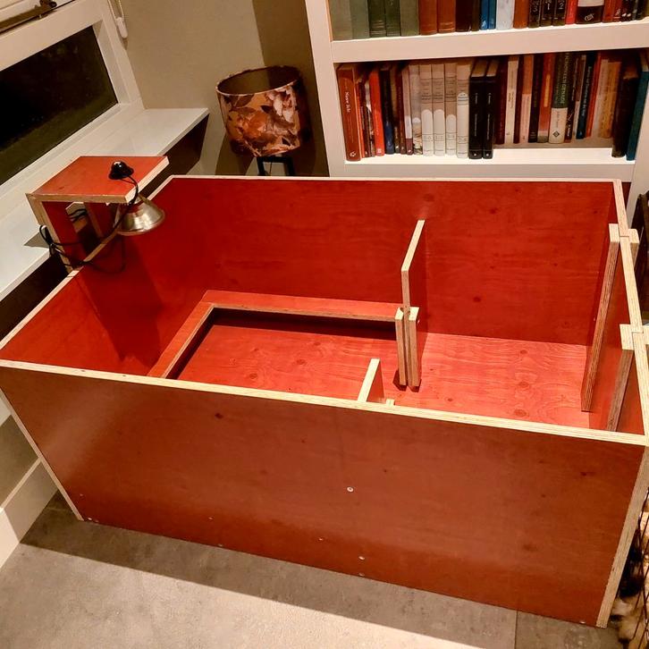 Werpkist voor hond te huur, Dieren en Toebehoren, Hondenhokken, Ophalen